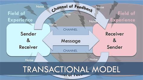 trans ceriale|Glossary – TransActual